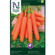 Nelson Garden Morot Sommar Nantaise