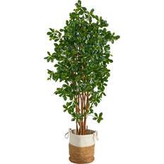 Cotton Artificial Plants Nearly Natural 6' Black Olive Jute & Ctn Artificial Plant