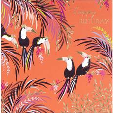 Toucans Birthday
