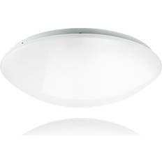 Pragmalux Polo Plafond