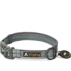 OllyDog OllyDog Flagstaff Collar Prism Blue Small