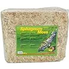 Lucky Reptile Sphagnum Moss 500 g Terrariummossa