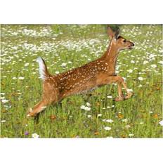 White Posters BrainBoosters Tailed Fawn Field of Spring Flowers Print Poster