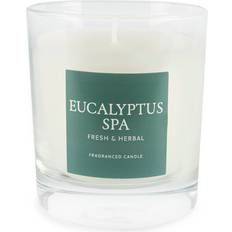 Medium Eucalyptus Spa