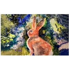 Cotton Entrance Mats Recuerdos 30 Rabbit Door Mat