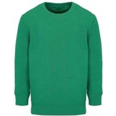Green Sweatshirts Children's Clothing Sol's Columbia Sweatshirt Green Years