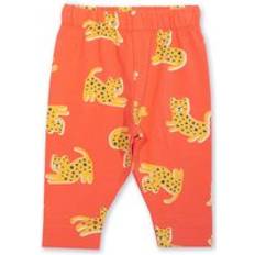 Leopard Trousers Children's Clothing Kite Baby Little Leopard Leggings Orange 3-6