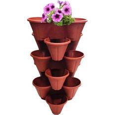 Thumbs Up 6 Terracotta Strawberry Trio Planter Flower