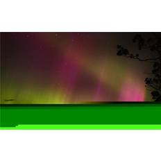 Grey Posters BrainBoosters Aurora Australis Stewart Island New Print Poster