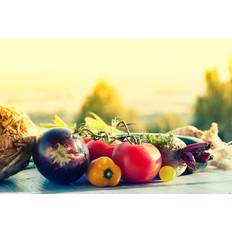 Metro Lane Vegetable Freshness Garden SilviaJansen Framed Art