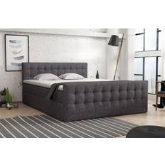 160cm Letti Boxspringbett Schlafzimmerbett ANKER 160x200 cm in Div. Farbvarianten Letto Continentale