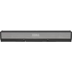 Korg PaAS MK2 Speaker System