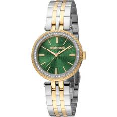 Watches Roberto Cavalli Fashion Green Ladies RC5L031M0095