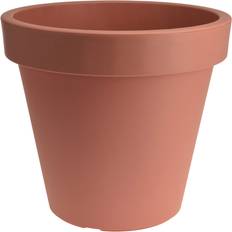 Pots, Plants & Cultivation URBN Living 40cm, Brown Flower Plant Indoor
