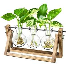 Ivolador Desktop Glass Bulb Terrarium Vase
