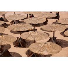 Beach umbrellas 108314932
