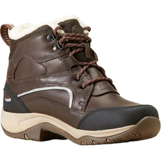 51 ½ - Damen Reitschuhe Ariat Telluride II H2O W - Dark Brown