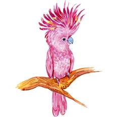 Bay Isle Home Pink Cockatoo Canvas Painting Print Framed Art