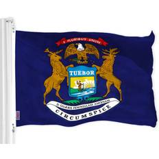 G128 Michigan State Flag 60x36"