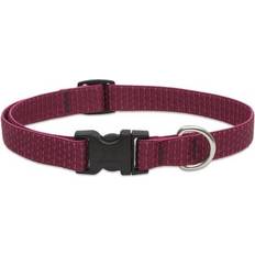 Eco 3/4" Berry 9-14" Adjustable Collar Dogs