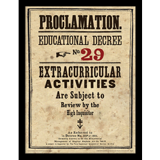 Harry Potter Educational Decree No. 29 Framed Art