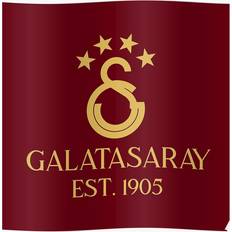 WHIBOS Galatasaray Gold 16x20 20x20 Print Poster 50.8x50.8cm