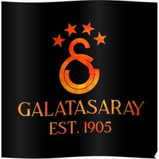 Orange Posters WHIBOS Galatasaray Geo Orange 16x20 Print Poster