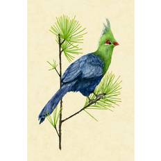 17 Stories Green Turaco I Framed Art