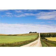 Blue Posters BrainBoosters Gravel Road A Hill with A Green Field on Golden Grain Field The Poster