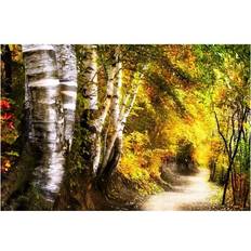 Natural Posters BrainBoosters Birch Trees & Path Print & Knorr Poster