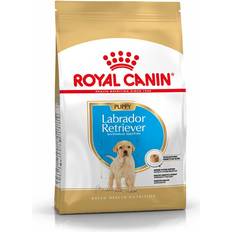 Royal canin labrador Royal Canin Labrador Retriever Puppy 3kg