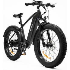 DYU King750 750W 20Ah