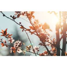 Springtime