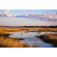 Marlow Home Co Etosha Landscape Print Framed Art