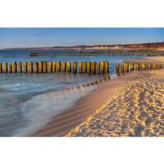 Beach 171117162