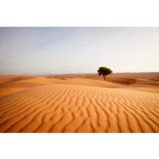 Natur Pur Lonely Desert Tree Framed Art