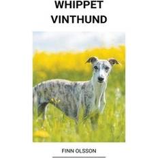 Whippet Vinthund