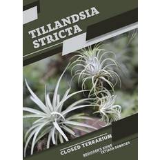 Tillandsia stricta Tetiana Sabanen 9798859094622 (Hæftet)