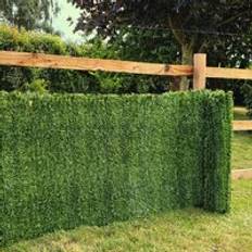 Screenings True Products Conifer Hedge Garden Fence Privacy Screening