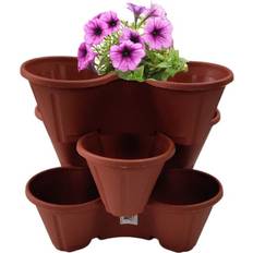 Thumbs Up 3 Terracotta Strawberry Trio Planter Flower