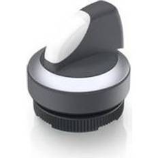 Rafi X 22 FS+ Illuminated Push Button 2 x 60 ° 1 pcs