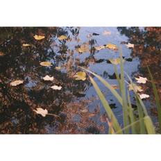 Pond Cover Net 3 x 2 m