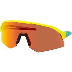 Alpina Unisex Sunglasses Alpina A8734 061