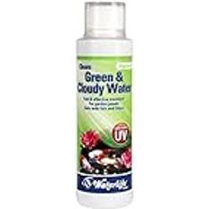 Waterlife Algizin G 250ml Clears Green