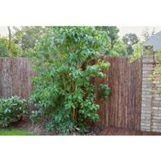 Primrose Natural Bark Screening Garden Fence Privacy Roll Sun 4M X 1M