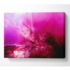 Latitude Run Pink Fury Canvas Prints Framed Art