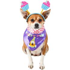 Pets Mickey Mouse Party Pup Pet Accessory, Medium/Large