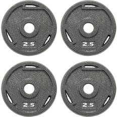 Weight Plates BalanceFrom Standard 1-Inch Cast Iron Plate Weight Plate for Strength Training and Weightlifting AT1IN-2.5X4