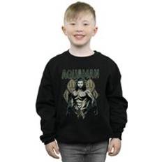 DC Comics Aquaman Scales Sweatshirt Black Years