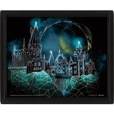 Pyramid Harry Potter 3D Image Multicolour Framed Art 29x24cm